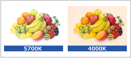 標準と4000ケルビンの色温度比較