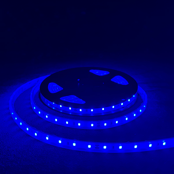 LEDテープライト 青色460-470nm N-LY60-S2835B-W24-IP65 2M